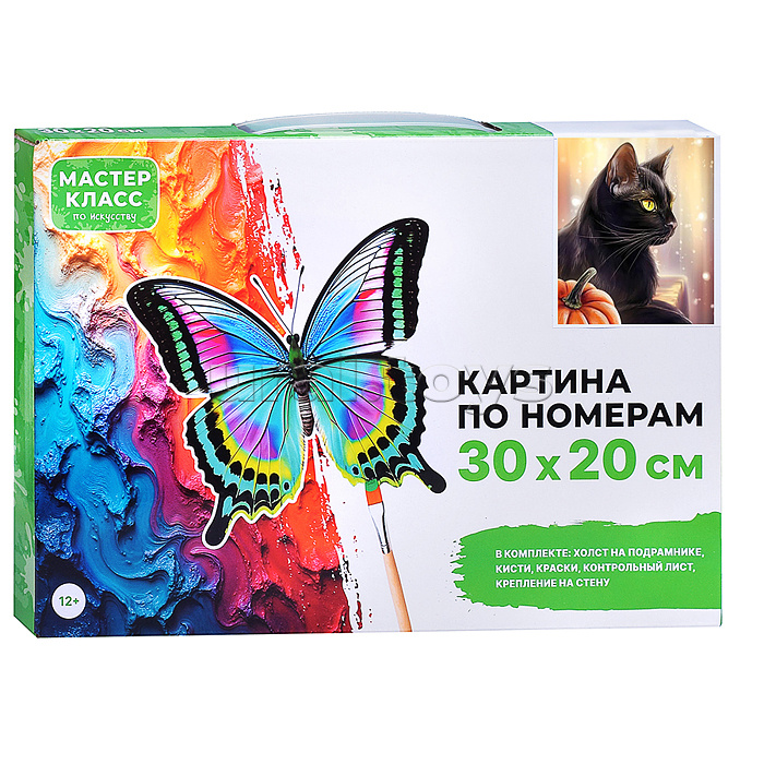 Набор для рисования "Картина по номерам 20*30 см. Черный кот"