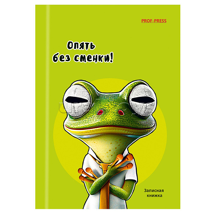 Записная книжка А6 48л. "Жабка-1" Записная книжка А6 48л. "Жабка-1"