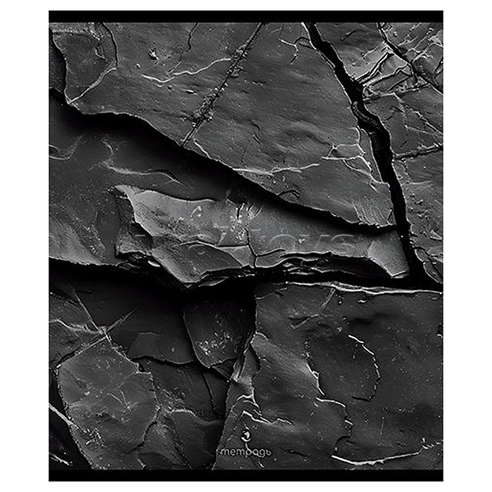 Тетрадь 48л. клетка А5 скрепка S "Камень и металл" Премиум 4+4+Матовая ламинация+Эмбоссирование