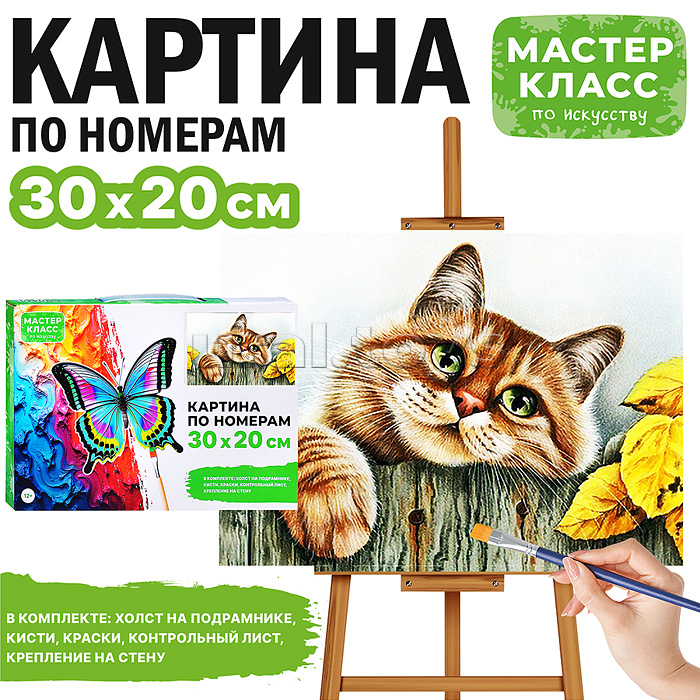 Картина по номерам "Рыжая кошечка" 30*20 см.