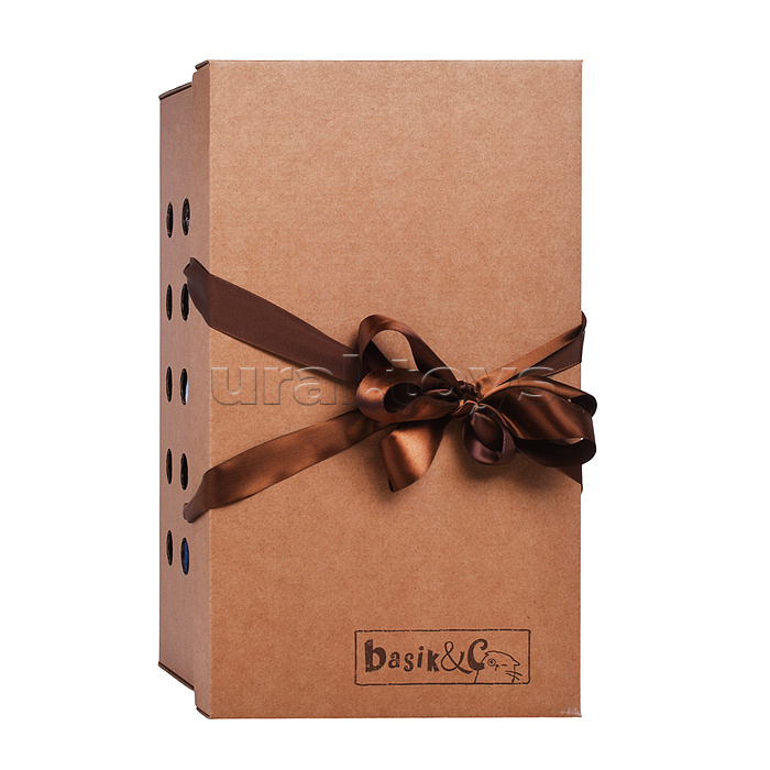 Кот Басик в лонгсливе с лошадкой