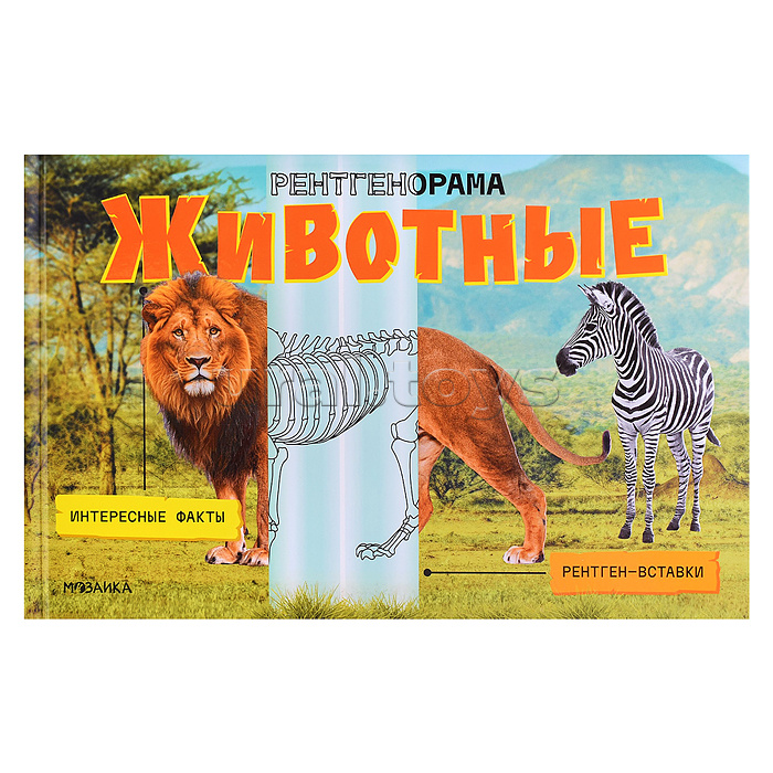 Рентгенорама. Животные