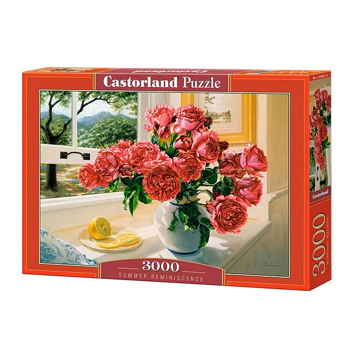 Пазлы 3000 "Летние воспоминания"
