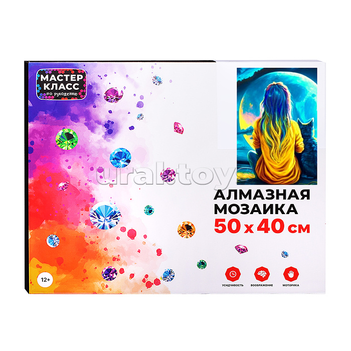 Мозаика алмазная "Лунная ночь" 40*50см.