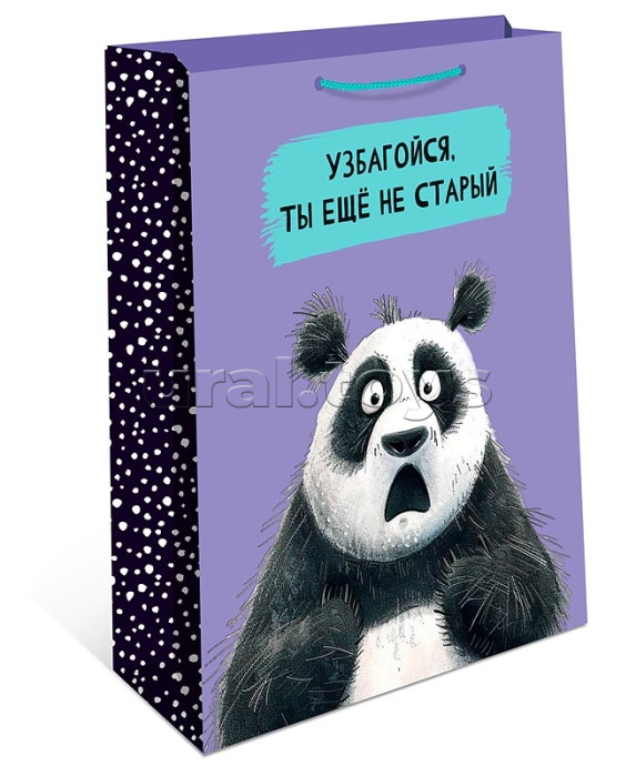 Пакет подарочный 260х320х120 Пакет подарочный 260х320х120
