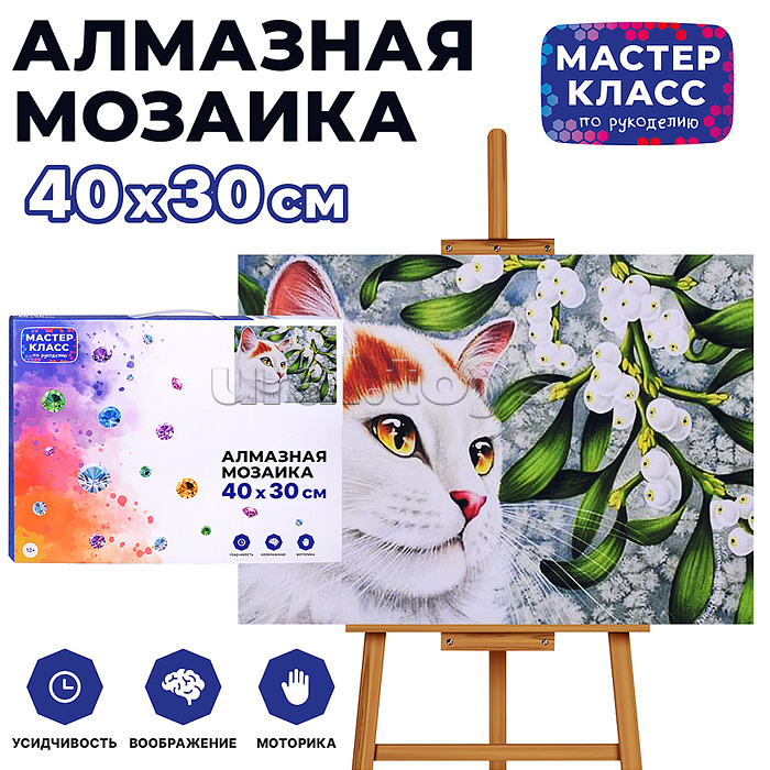 Мозаика алмазная "Котёнок" 30*40см.