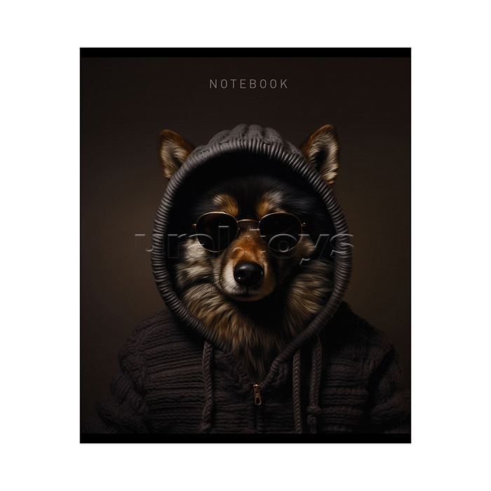 Тетрадь 48л. клетка А5 "Крутые пацаны" скрепка