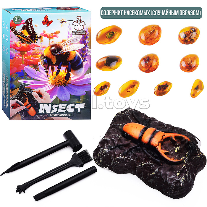 Раскопки "Древний мир" в коробке