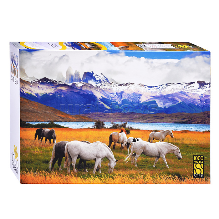 Пазлы 1000 "Лошади в национальном парке. Чили"