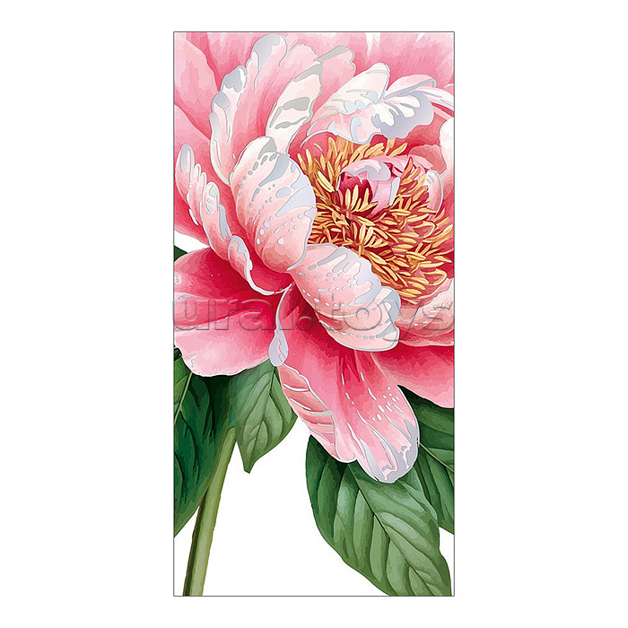 Конверт для денег без надписи