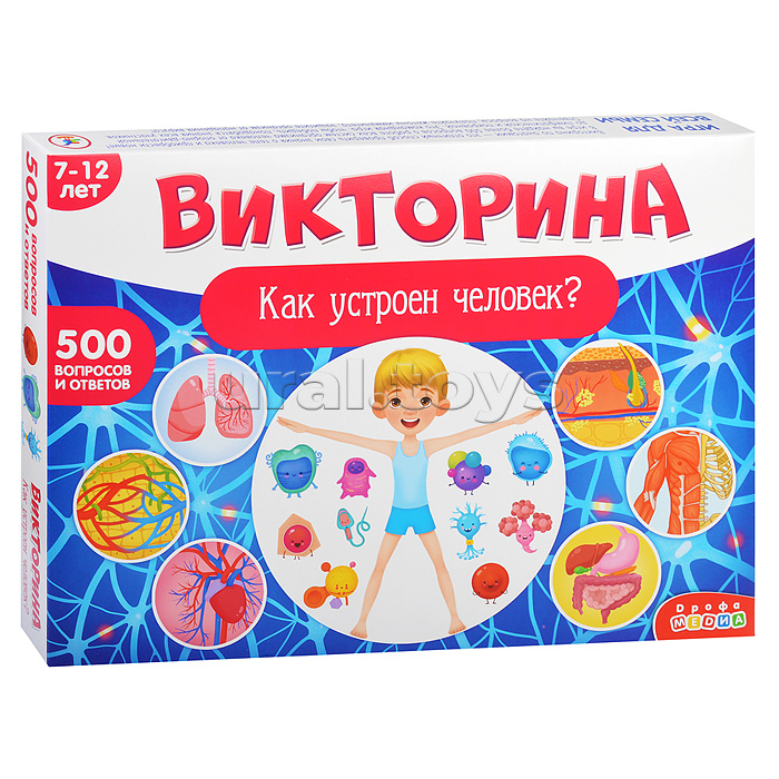 Викторина. Как устроен человек?