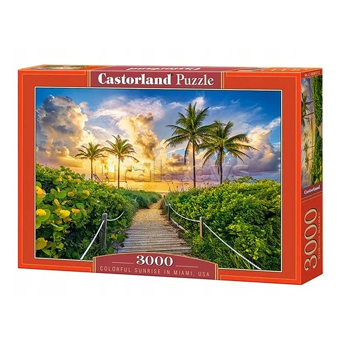 Пазлы 3000 "Восход солнца в Майами"