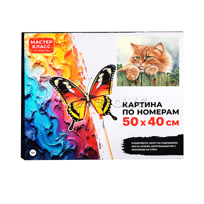 Набор для рисования "Картина по номерам 40*50 см. Рыжий кот"