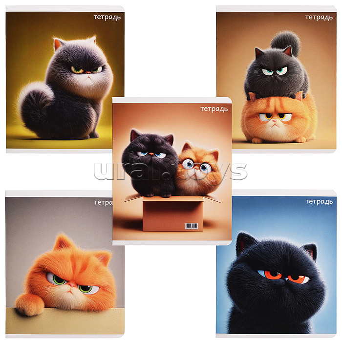 Тетрадь 48 л, клетка "Котяры" А5+, мягкий переплёт (2 скобы)