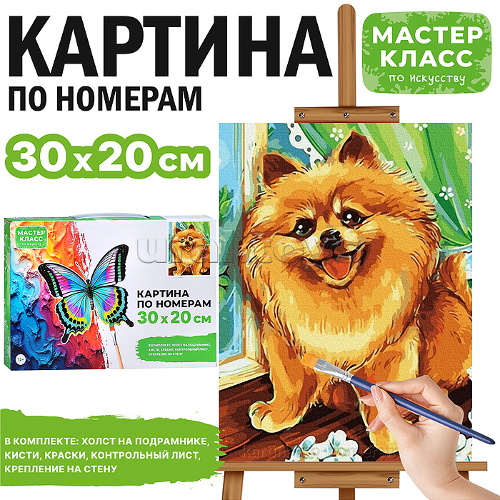 Набор для рисования "Картина по номерам 30х20см. Рыжик"