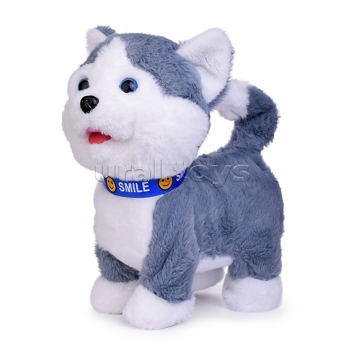 Собака "Джек" (записывает, поёт, двигается) в пакете