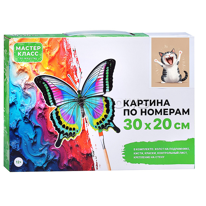 Набор для рисования "Картина по номерам 30х20 см. Весёлый кот"