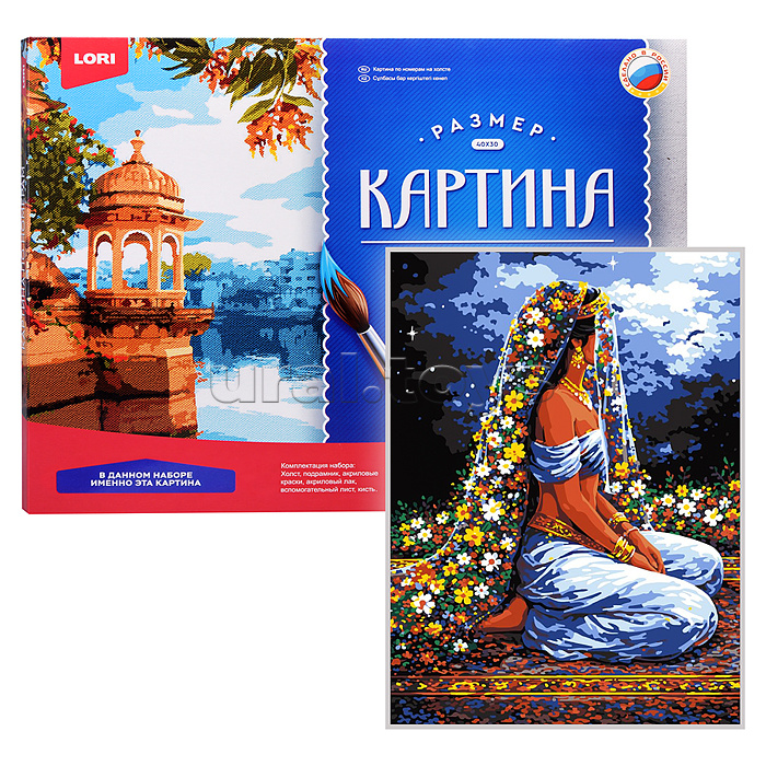 Картина по номерам холст на подрамнике 30х40 "Восточная сказка"