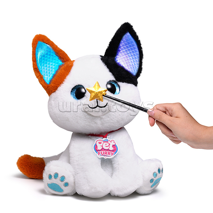 Кошка "Сима" (поёт, записывает, светится) в коробке