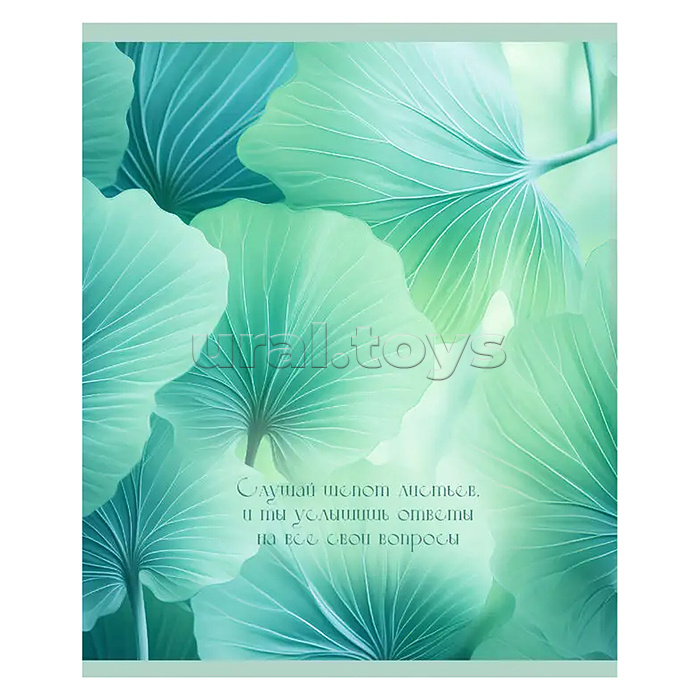 Тетрадь 48л. клетка серая "Шепот листьев" А5 скрепка