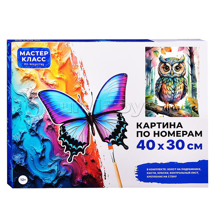 Набор для рисования "Картина по номерам 30х40 см. Цветная совушка"