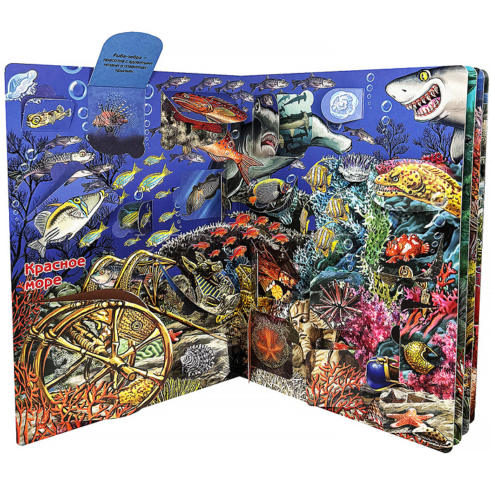 Энциклопедия с окошками "Что там, под водой?"