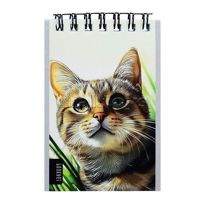 Блокнот А7 40л. "Нарисованные котики" на гребне, обл.-мел.кар, бл-офс, в клетку