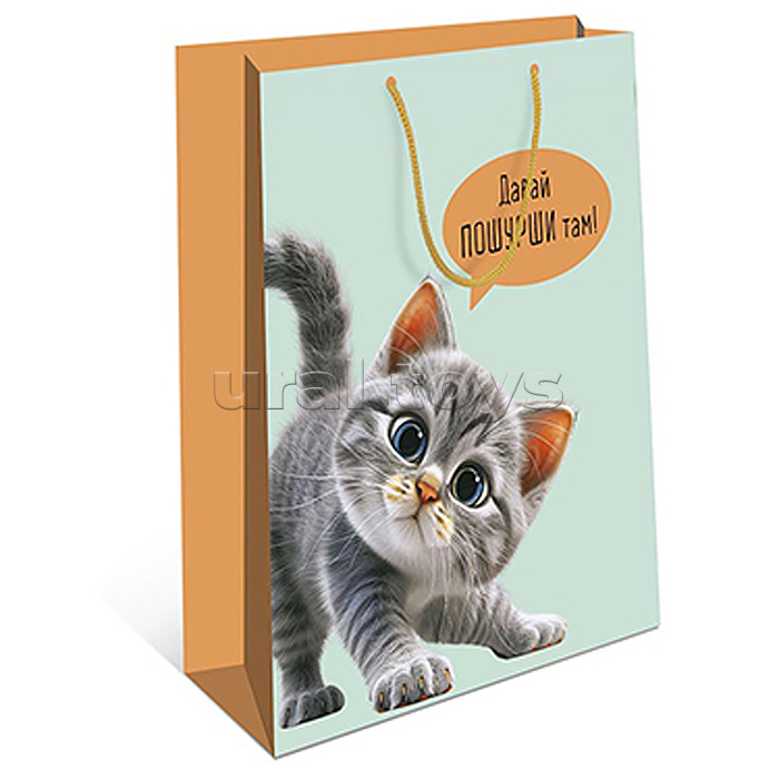 Пакет подарочный 330х425х100