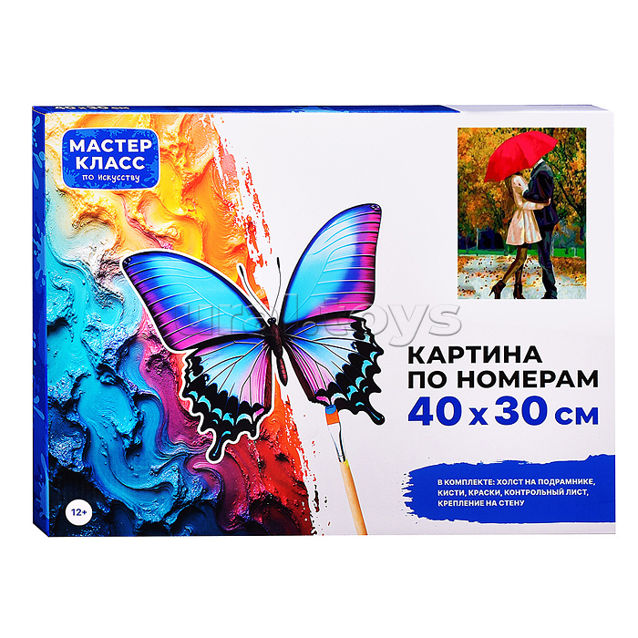 Набор для рисования "Картина по номерам 30*40 см. Свидание"