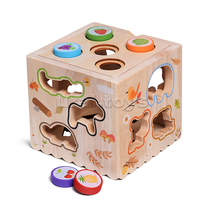 Куб развивающий "Мегакуб"