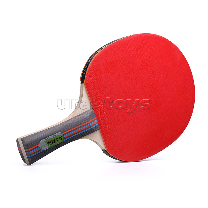 Ракетка для настольного тенниса в сумке