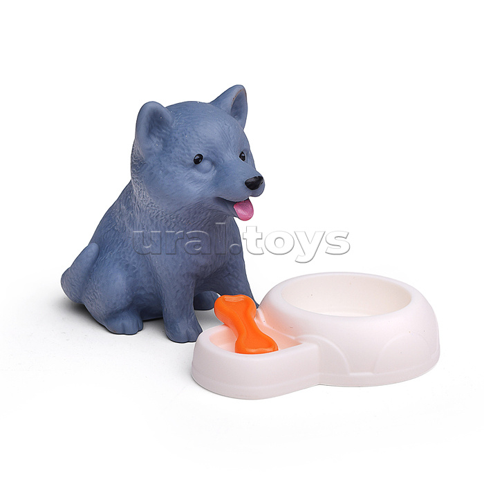 Набор питомец "Чудо природы" в коробке