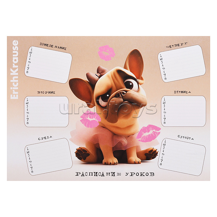 Расписание уроков "Frenchie" А4