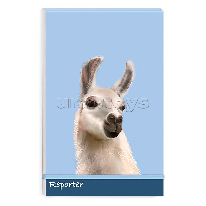 Записная книжка А5+, 100л "Альпака" застёжка-резинка