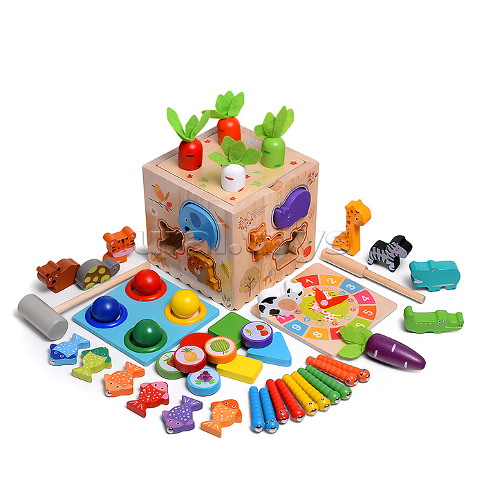 Куб развивающий "Мегакуб"