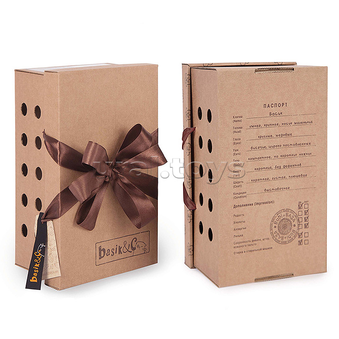 Кот Басик в пижаме