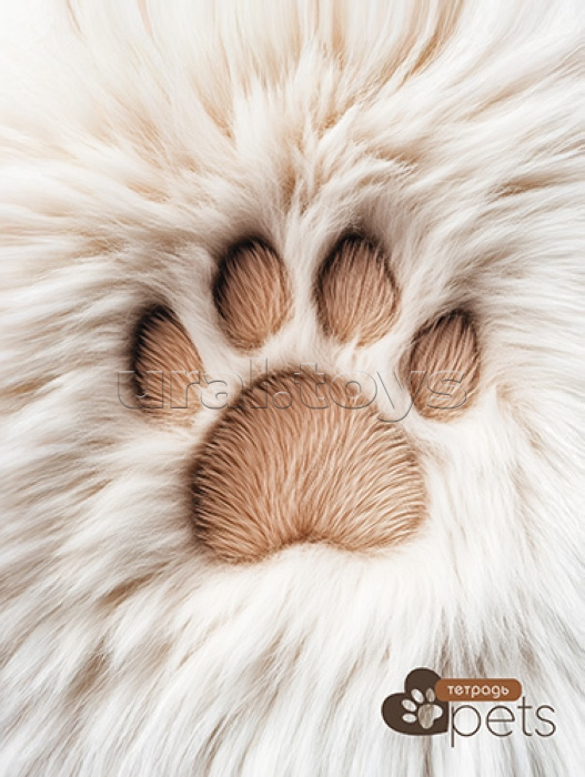 Тетрадь 80л. линия "Пушистая лапка" на гребне