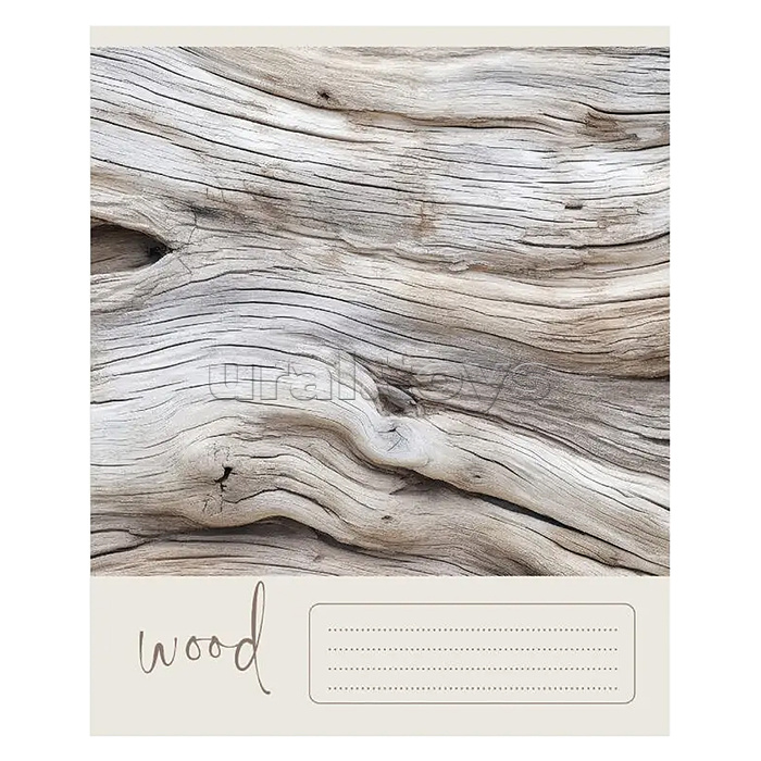 Тетрадь 48л. клетка "Природный код" А5 скрепка