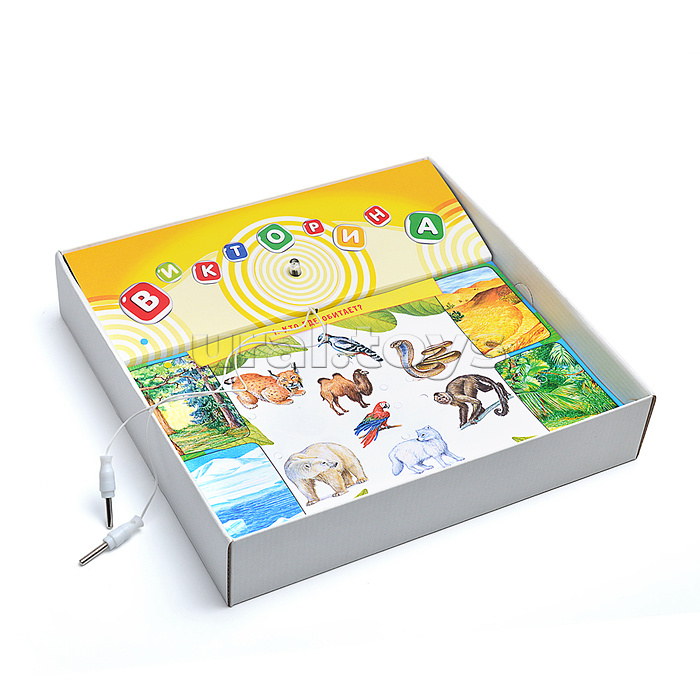 Электровикторина (4-7 лет). Всё обо всём