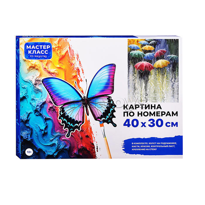 Набор для рисования "Картина по номерам 30х40см. Дождливый день"