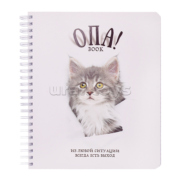 Тетрадь 96л. клетка/линия, А5 "Перевертыш Опа!" гребень