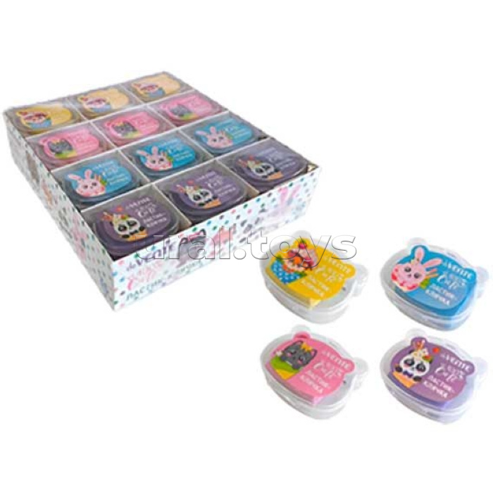 Ластик-клячка "100% Cute" синтетический каучук, прямоугольный, ассорти 4 пастельных цвета