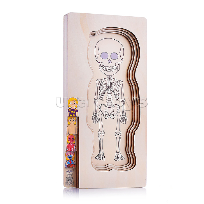 Пазл-вкладыш "Девочка"