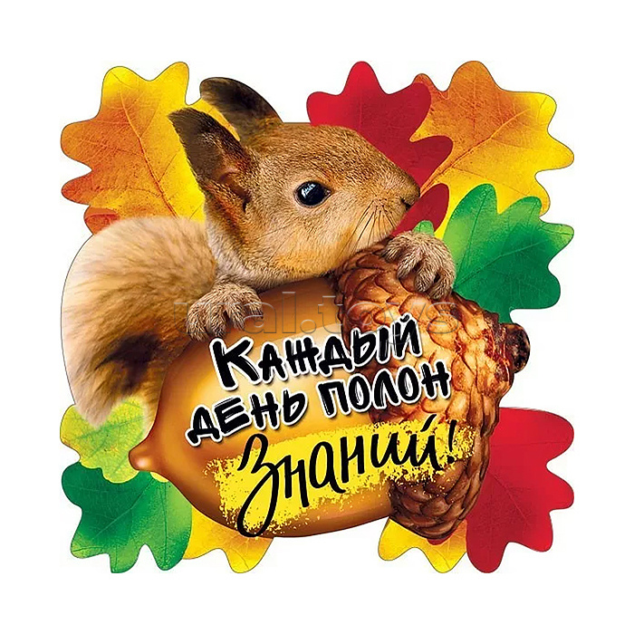 Украшение на скотче "Каждый день полон знаний!"
