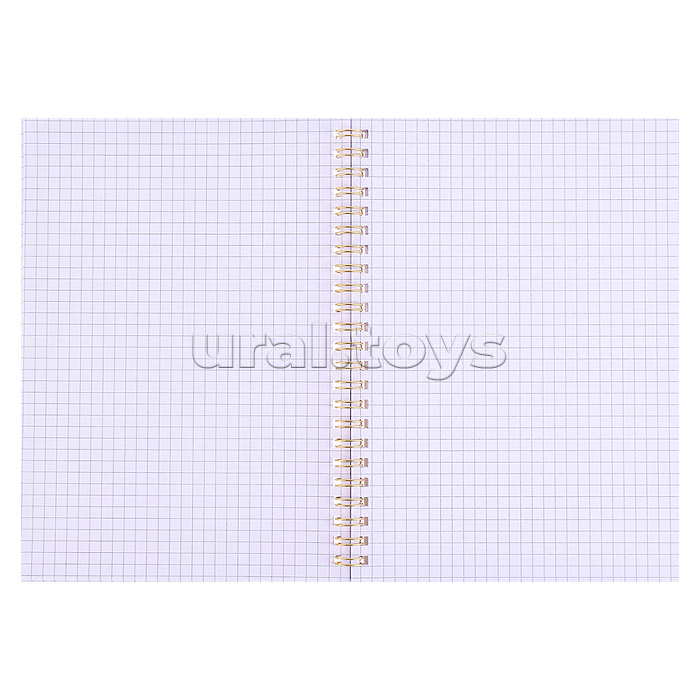 Блокнот на евроспирали "Девочки" 14.5x21 см, 60 л., внутренний блок в клетку, плотность бумаги 70г/м2, 4 дизайна в ассортименте, ОПП-упаковка