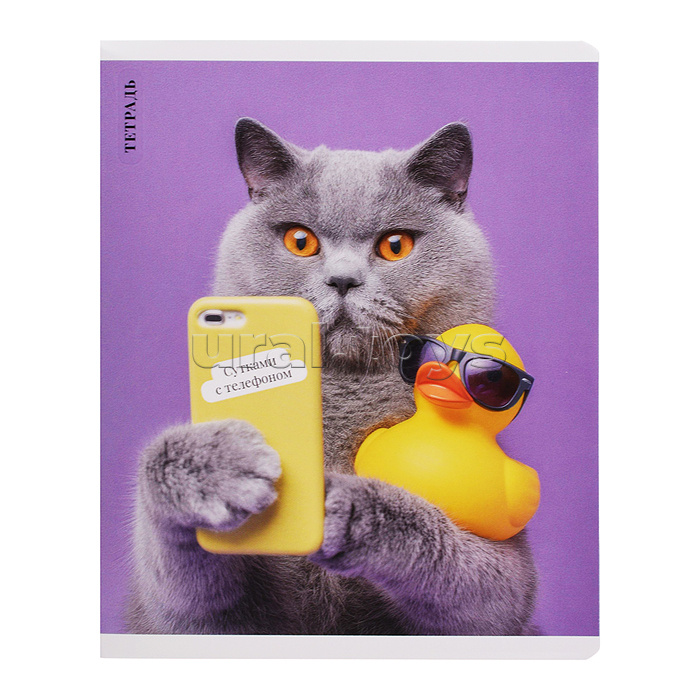 Тетрадь 48 л, клетка "Кот с уткой" А5+, мягкий переплёт (2 скобы)