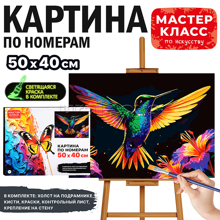 Картина по номерам "Колибри" 50*40 см