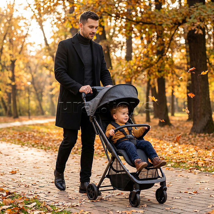 Коляска прогулочная Prammy Black, черный (в коробке)