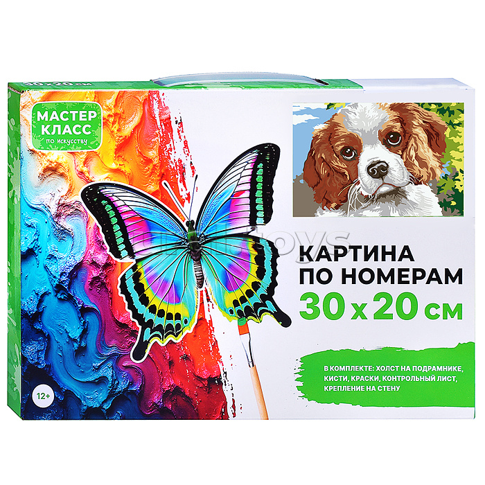 Картина по номерам "Спаниель" 30*20  см.