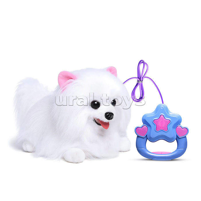 Собака "Тошка" (бегает, кружится, меняет голос) в коробке